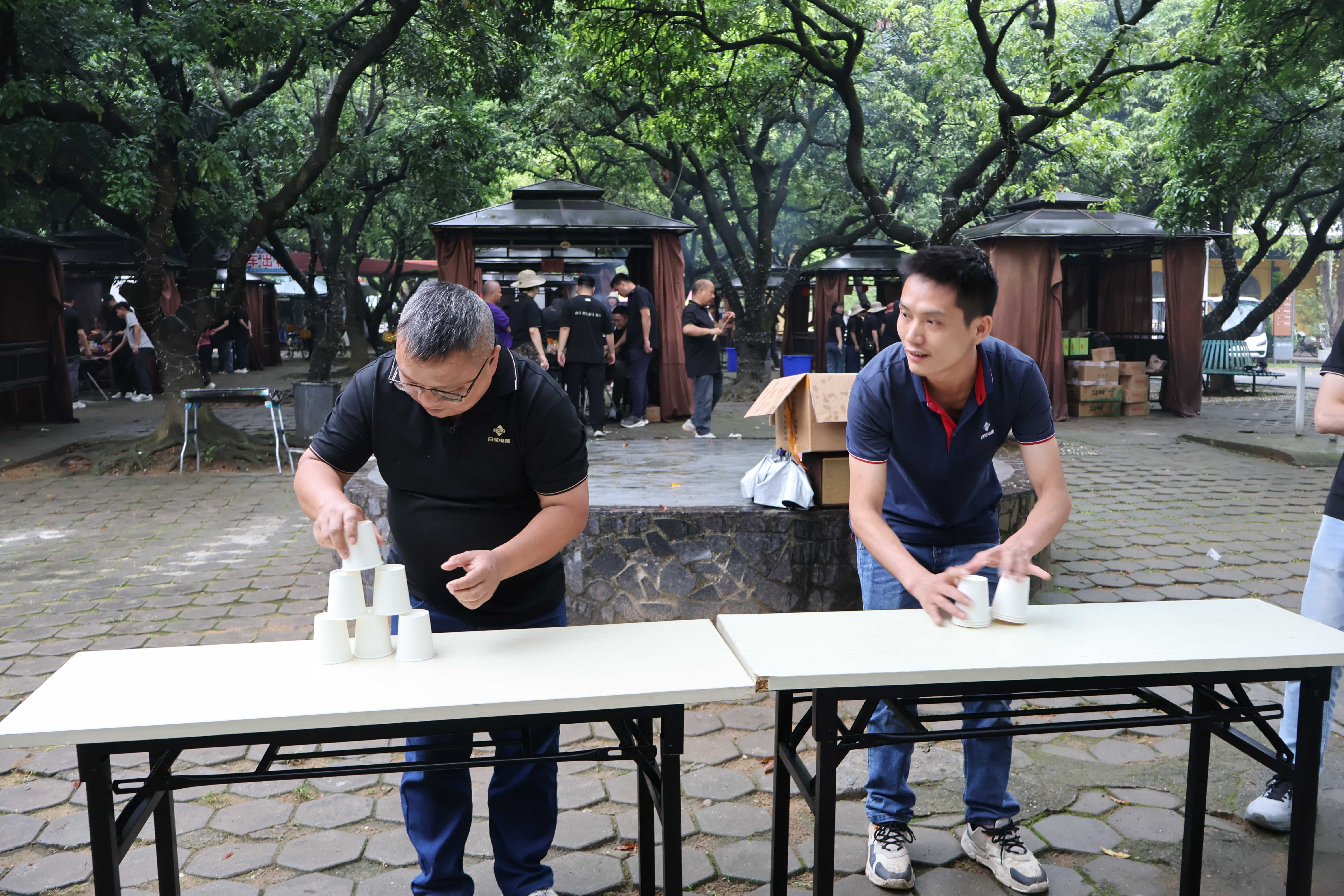 不负初夏，趣游山湖｜日芝电梯佛灵湖团建拓展活动